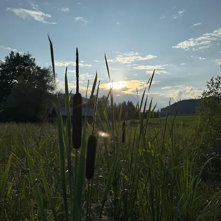 Apartamento Christine Am *