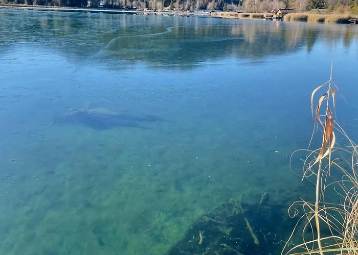 Christine Am * 魏森湖